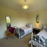 Valentia Skellig - Knighstown - V23k504