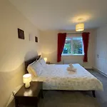 Valentia Skellig - Knighstown - V23k504 3*